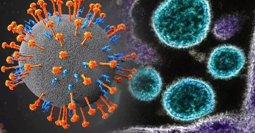 നിപ്പ സ്ഥിരീകരിച്ചു, കോഴിക്കോട്ടെ രണ്ട് പനി മരണം വൈറസ് ബാധയാലെന്ന് കേന്ദ്ര ആരോഗ്യമന്ത്രാലയം Nipah virus